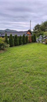 팜모닝 자유주제·자유게시판 게시글 이미지