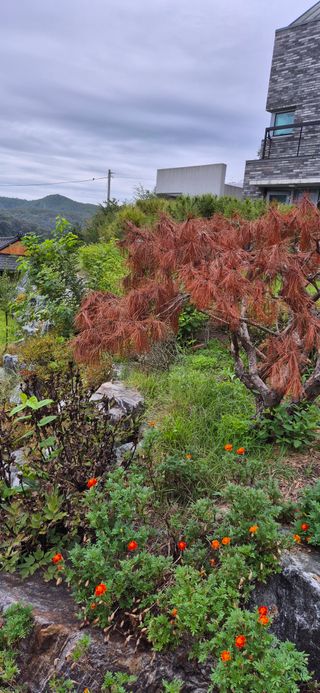 모실표고님의 자유주제 · 자유게시판 작성글 사진