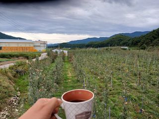 알 수 없음님의 자유주제 · 자유게시판 작성글 사진