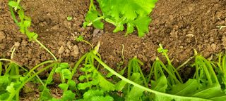 이태희님의 자유주제 · 자유게시판 작성글 사진