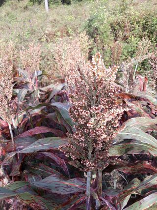 조동원님의 자유주제 · 자유게시판 작성글 사진