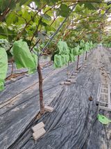 팜모닝 자유주제·자유게시판 게시글 이미지