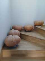 팜모닝 자유주제·자유게시판 게시글 이미지