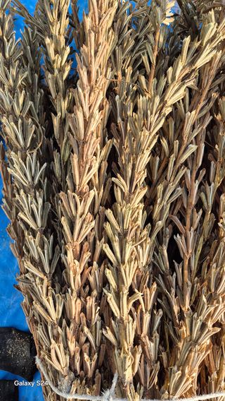 김영래큰집참농장한우님의 10월 내 농작물 자랑하기 · 참여글 작성글 사진