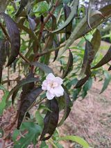 팜모닝 자유주제·자유게시판 게시글 이미지