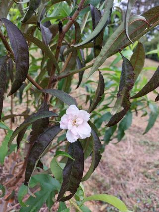 배종섭님의 자유주제 · 자유게시판 작성글 사진