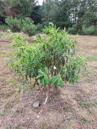 배종섭님의 자유주제 · 자유게시판 작성글 사진
