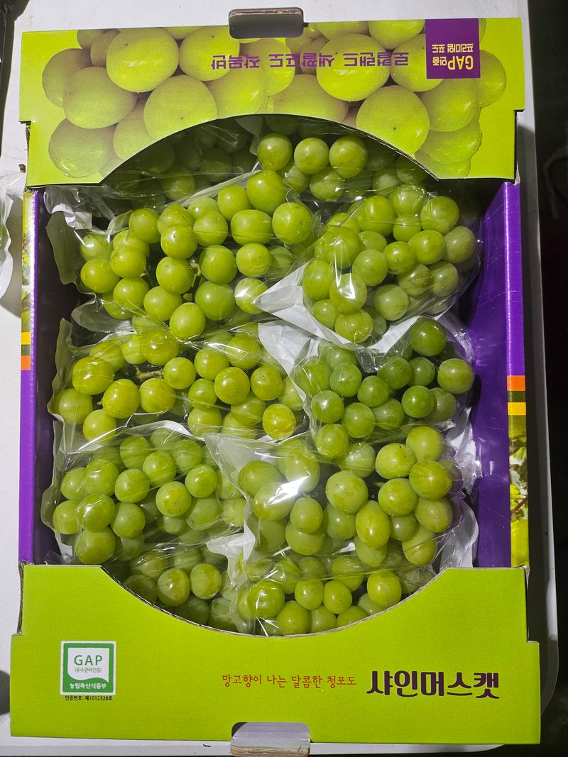 장터 상품 [샤인머스켓 2kg, 4kg] 썸네일