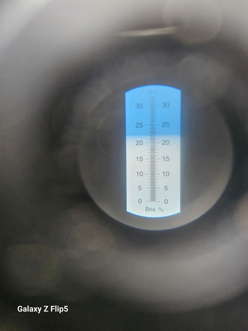 송민호님의 장터 판매 상품 [샤인머스켓 2kg, 4kg] 첨부 사진