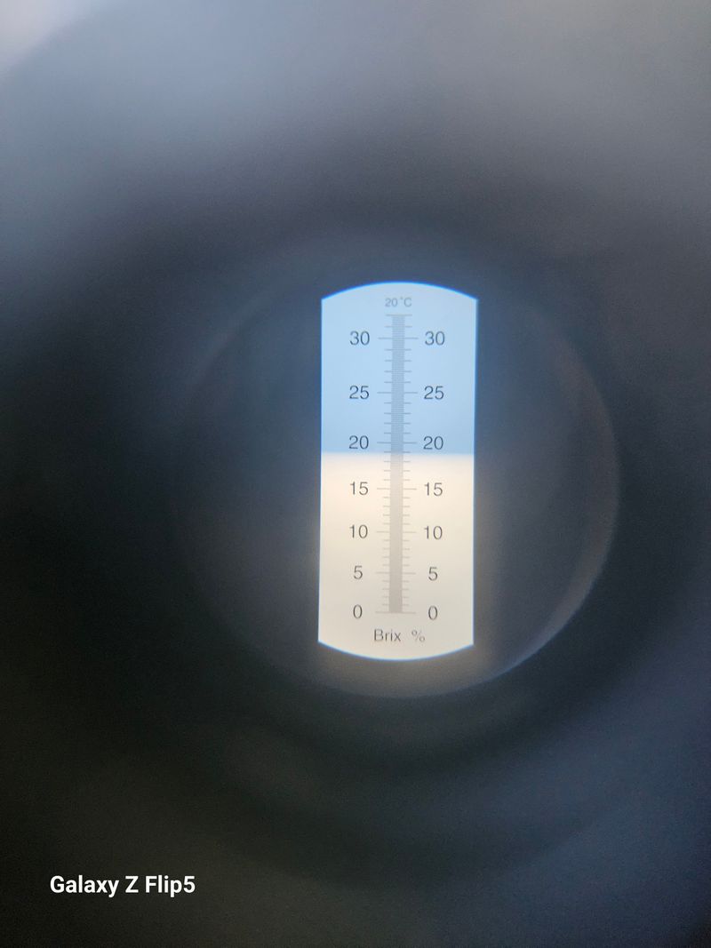 송민호님의 장터 판매 상품 [샤인머스켓 2kg, 4kg] 첨부 사진