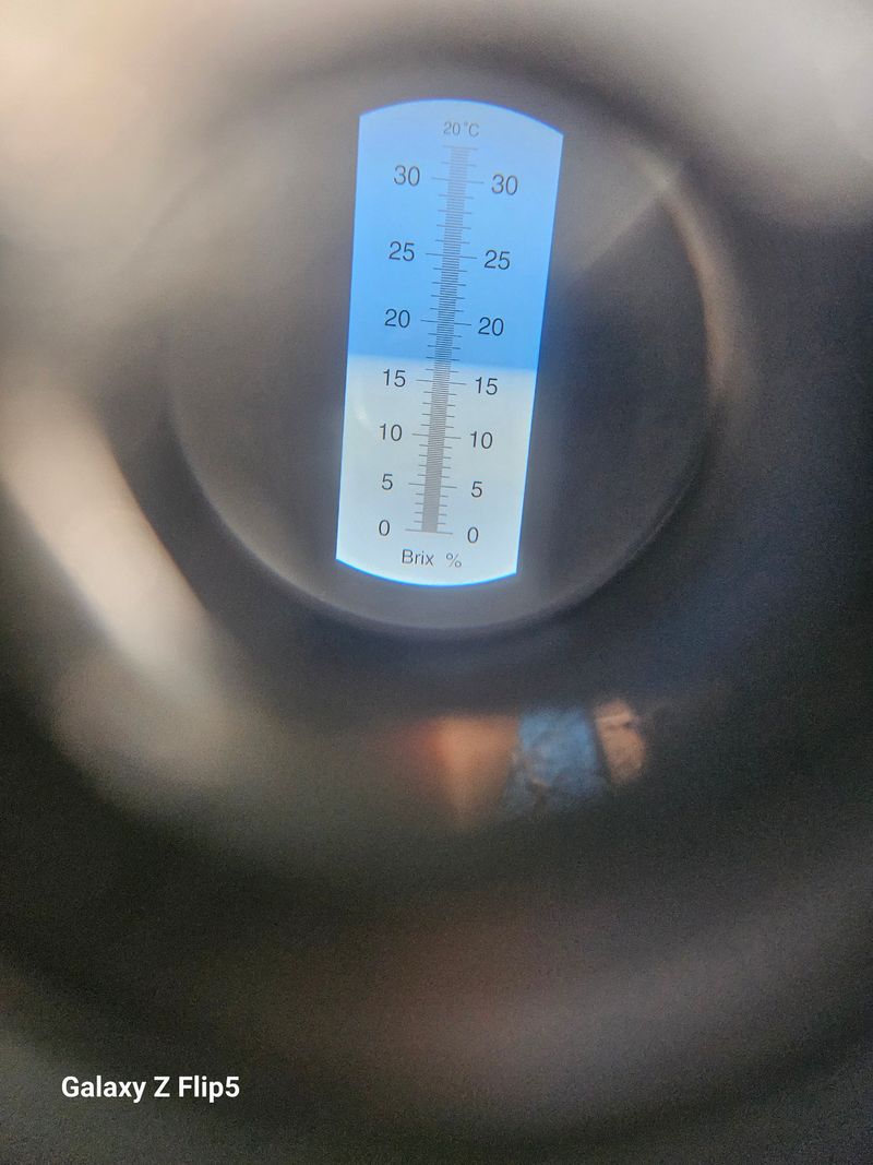 송민호님의 장터 판매 상품 [샤인머스켓 2kg, 4kg] 첨부 사진