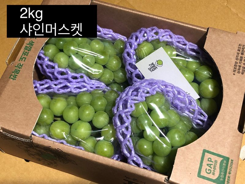 송민호님의 장터 판매 상품 [샤인머스켓 2kg, 4kg] 첨부 사진