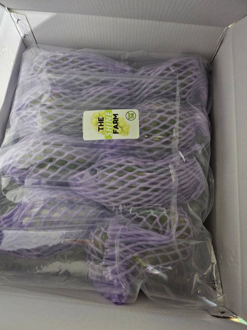 송민호님의 장터 판매 상품 [샤인머스켓 2kg, 4kg] 첨부 사진