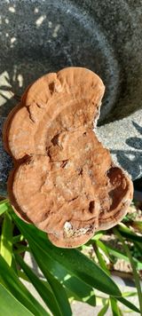 팜모닝 자유주제·자유게시판 게시글 이미지