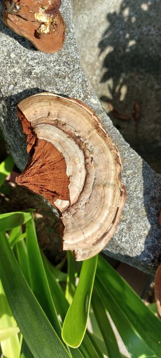 이형모님의 자유주제 · 자유게시판 작성글 사진