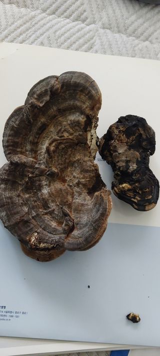 이형모님의 자유주제 · 자유게시판 작성글 사진