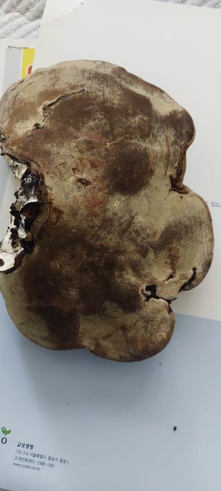 이형모님의 자유주제 · 자유게시판 작성글 사진