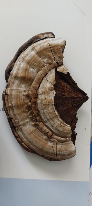 이형모님의 자유주제 · 자유게시판 작성글 사진