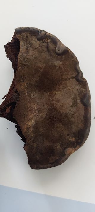 이형모님의 자유주제 · 자유게시판 작성글 사진