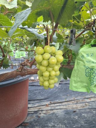 박종필님의 자유주제 · 자유게시판 작성글 사진