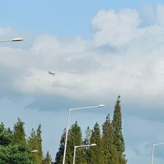 심은님의 사과 · 일상 작성글 사진