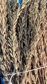 팜모닝 참깨·영농일지 게시글 이미지