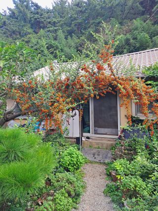 농촌사랑님의 자유주제 · 자유게시판 작성글 사진