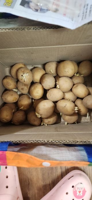 홍새싹님의 자유주제 · 자유게시판 작성글 사진