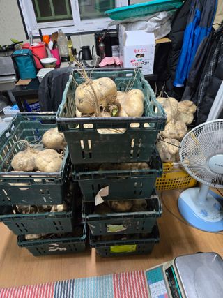 김성부 님의 자유주제 · 자유게시판 작성글 사진