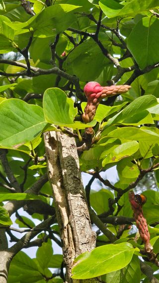 김석(휴대폰.인터넷매장)님의 자유주제 · 자유게시판 작성글 사진