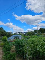 팜모닝 자유주제·자유게시판 게시글 이미지