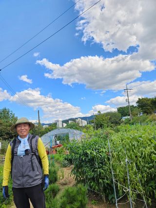 조정숙(1955)님의 자유주제 · 자유게시판 작성글 사진