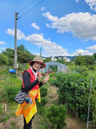 조정숙(1955)님의 자유주제 · 자유게시판 작성글 사진