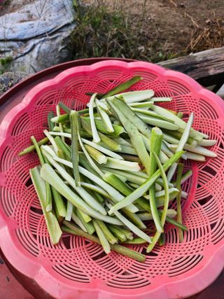 조정숙(1955)님의 자유주제 · 자유게시판 작성글 사진