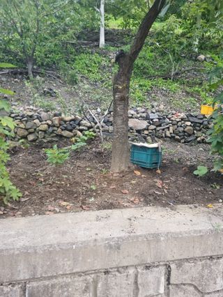 김용대님의 자유주제 · 자유게시판 작성글 사진