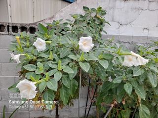 MSG0074님의 자유주제 · 자유게시판 작성글 사진