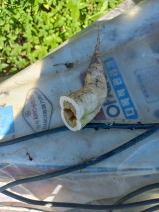 시아님의 자유주제 · 자유게시판 작성글 사진