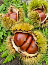 팜모닝 자유주제·자유게시판 게시글 이미지