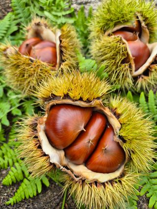 성주현님의 자유주제 · 자유게시판 작성글 사진