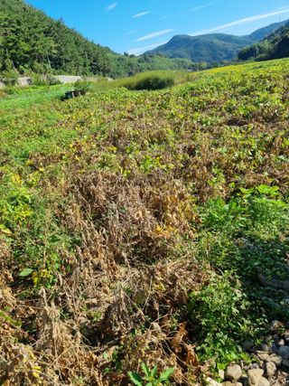 어쩌다농부님의 자유주제 · 자유게시판 작성글 사진