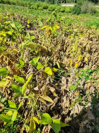 어쩌다농부님의 자유주제 · 자유게시판 작성글 사진