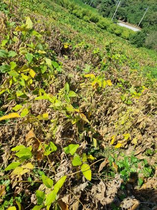 어쩌다농부님의 자유주제 · 자유게시판 작성글 사진