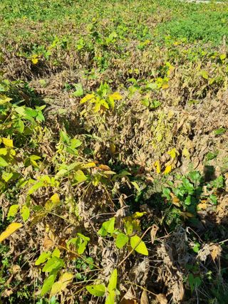 어쩌다농부님의 자유주제 · 자유게시판 작성글 사진