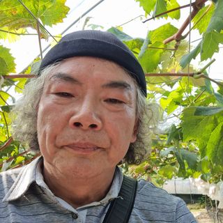 포도형제농님의 포도 · 영농일지 작성글 사진