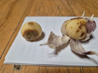 장일순님의 농사, 무엇이든 물어보세요! · 참여글 작성글 사진