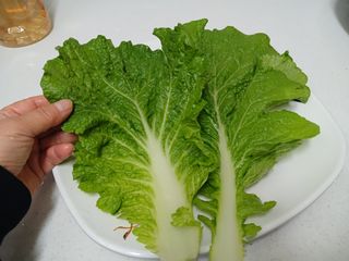 금동이네님의 자유주제 · 자유게시판 작성글 사진