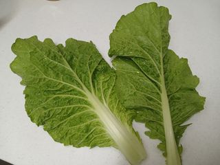 금동이네님의 자유주제 · 자유게시판 작성글 사진