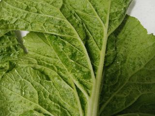 금동이네님의 자유주제 · 자유게시판 작성글 사진