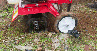 유니즈님의 작성글 사진