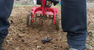 유니즈님의 작성글 사진